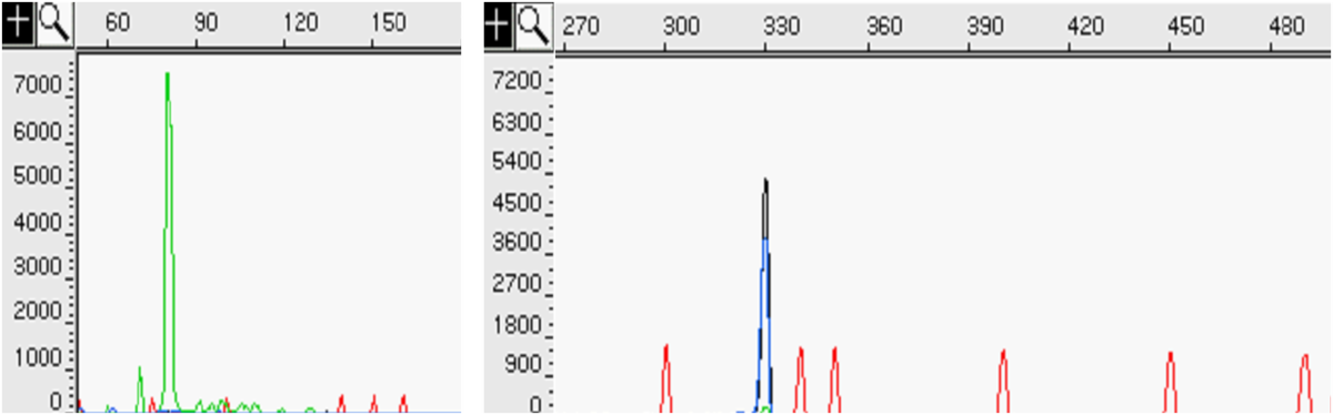 Figure 14 FLT3 Mutational analysis